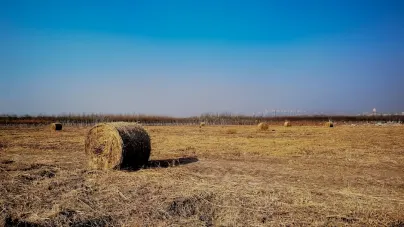 Casholot Casino Mobilna aplikacija